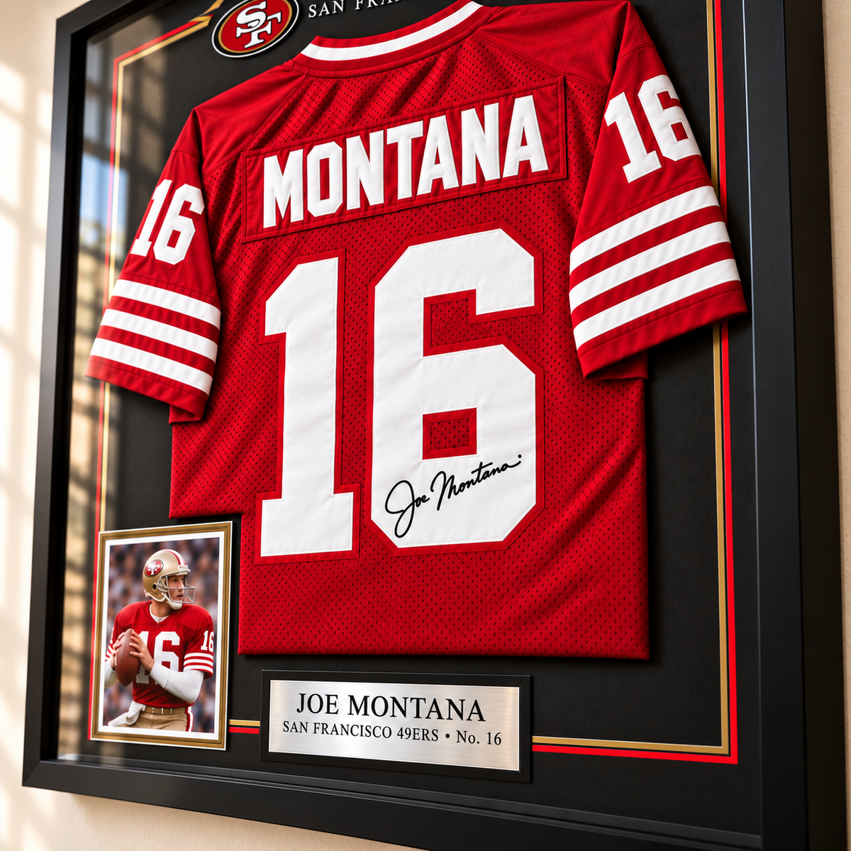 SF49 Legendary jersey display frame PNPA